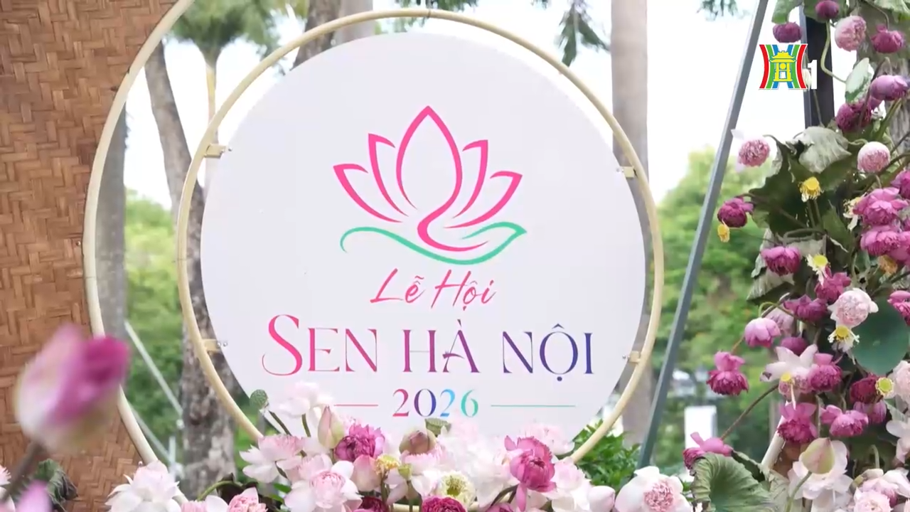 Hành trình nghệ thuật tôn vinh vẻ đẹp hoa sen